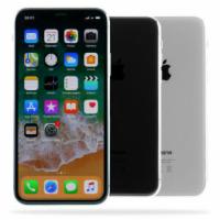 Apple iPhone X / 256GB /