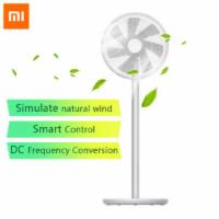 Xiaomi Smartmi Stehen 