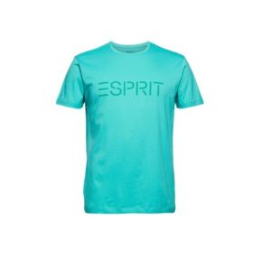 jersey-t-shirt-mit-logo-aus-organic-cotton-aqua-green-2_605x605_352265