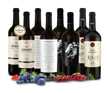 Ebrosia: Wein Vorteilspaket mit 8 Flaschen für nur 39,95€
