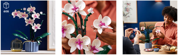 lego_creator_expert_botanical_collection_orchidee_bilder