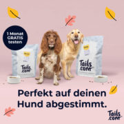 🐶 *TOP* tails.com: 4 Wochen kostenloses Hundefutter (nur 2€ Versand)