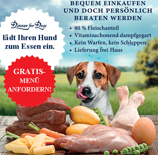 beste hundebett Orthopdisches Hundebett online kaufen