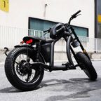 Mangosteen FT02 E-Bike