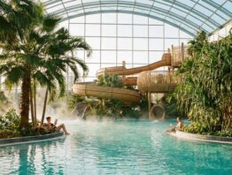 travelcircus wellness therme Therme mit Hotel ueber Travelcircus – tropische Thermenlandschaft mit Palmen