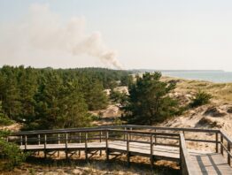 Waldbrand am Urlaubsort Kuestenlandschaft mit Rauch