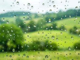 Regentropfen auf einer Fensterscheibe vor grüner Landschaft