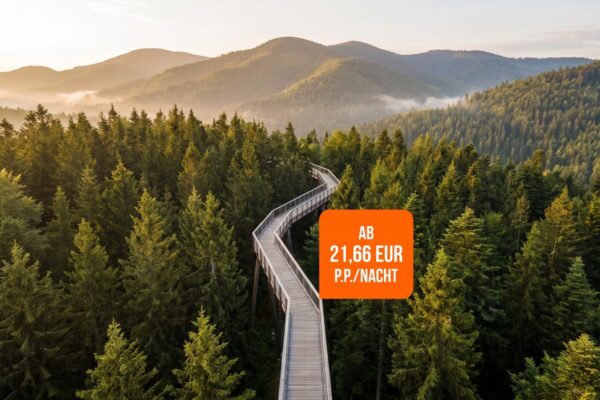 animod hotelgutscheine kurzurlaub deals Animod Hotelgutscheine Kurzurlaub Deals Baumwipfelpfad Bayerischer Wald