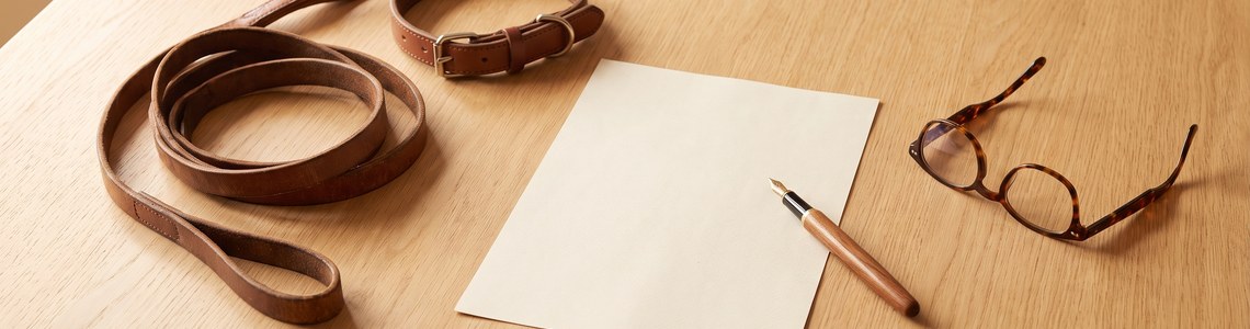 Hundehaftpflicht 2026 - Pflicht, Kosten und Leistungen
