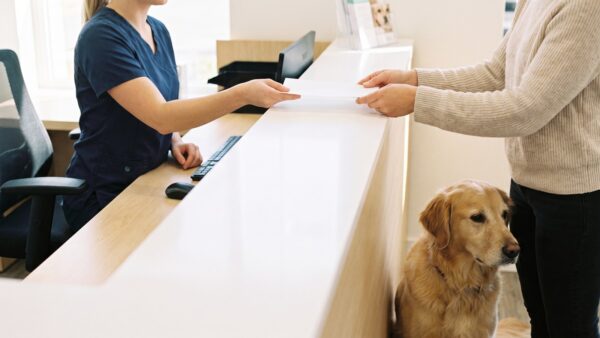 hkv abrechnung Tierarzthelferin reicht am Empfangstresen eine Rechnung - Abrechnung der Hundekrankenversicherung