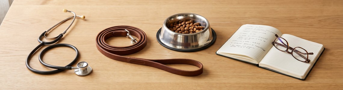 Hundekrankenversicherung 2026 - Leistungen, Kosten und Vergleich