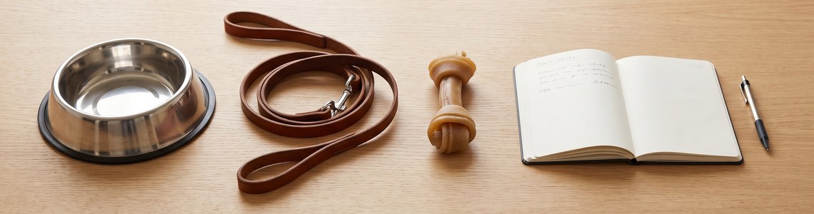 Was kostet ein Hund im Monat 2026 - alle Kosten im Ueberblick