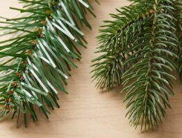 Kuenstlicher Weihnachtsbaum aus PVC-Folie und PE-Spritzguss im Zweig-Vergleich
