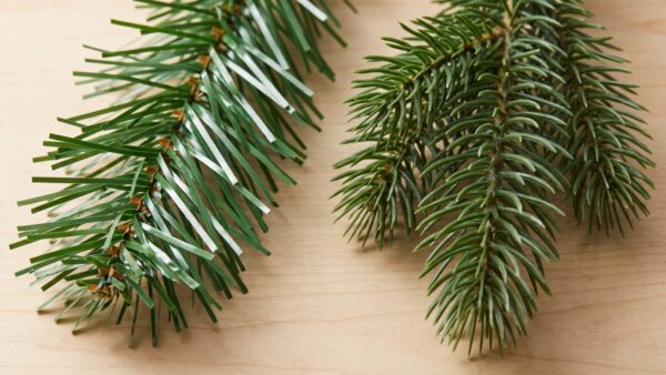 Künstlicher Weihnachtsbaum aus PVC-Folie und PE-Spritzguss im Zweig-Vergleich