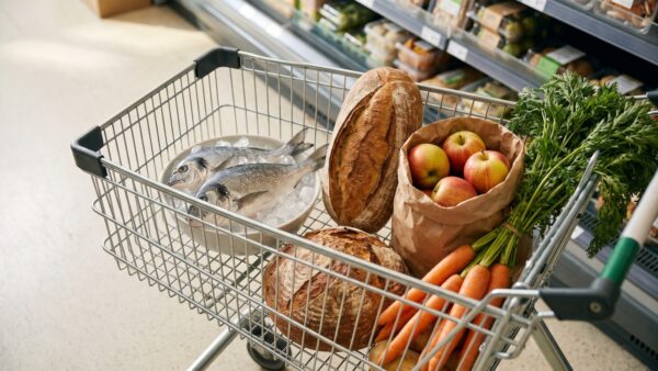 nl 1 Preisvergleich Lebensmittel Niederlande Deutschland im Einkaufswagen