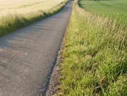 Schmale Landstraße ohne Gehweg zwischen grünen Feldern