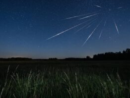 Perseiden 2026 Sternschnuppen ueber dunkler Wiese beim Maximum