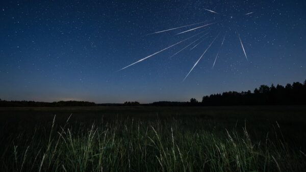 perseiden 2026 radiant Perseiden 2026 Sternschnuppen ĂŒber dunkler Wiese beim Maximum