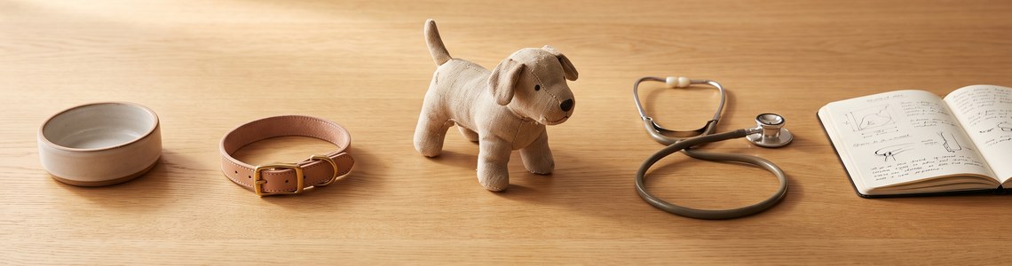 Welpen-Kosten 2026 - Erstausstattung, Tierarzt und laufende Ausgaben