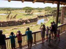 Zoogehege mit Savannenanlage und Besucherplattform