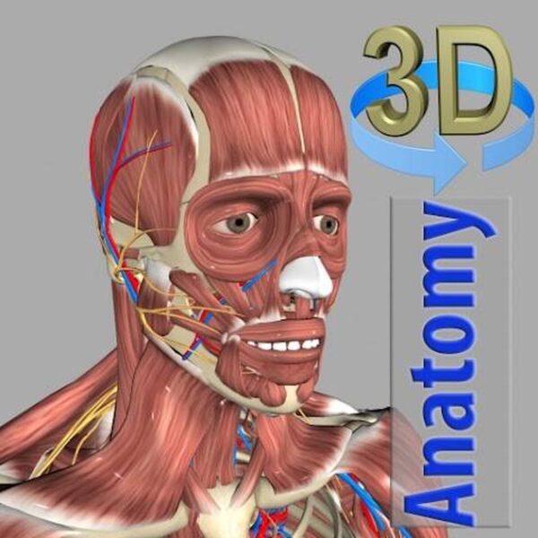 3d anatomy anatomie app ios 3D Anatomy Anatomie-App für iPhone und iPad