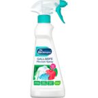 Dr. Beckmann Gallseife Flecken-Spray 250 ml