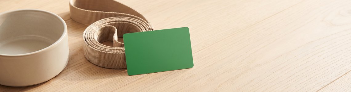 Leerer Futternapf, Hundeleine und unbedruckte Kundenkarte auf Holzboden