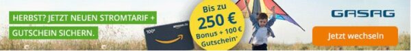 gasag stromtarif neukundenbonus banner GASAG Stromtarif: bis zu 250 € Neukundenbonus + 100 € Amazon-Gutschein