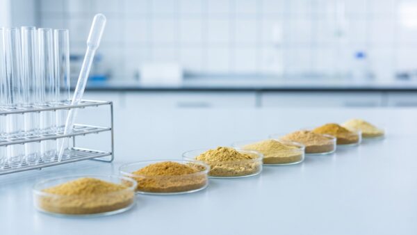 Unbeschriftete Glasschälchen mit Brühepulver in einer Reihe auf einem Labortisch