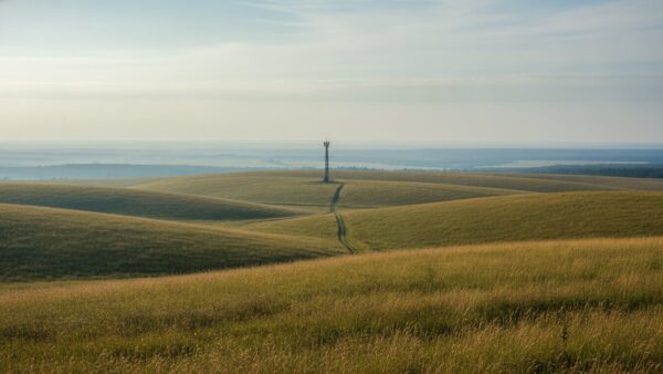 Weite Wiesenlandschaft mit einem Mobilfunkmast als Silhouette am Horizont