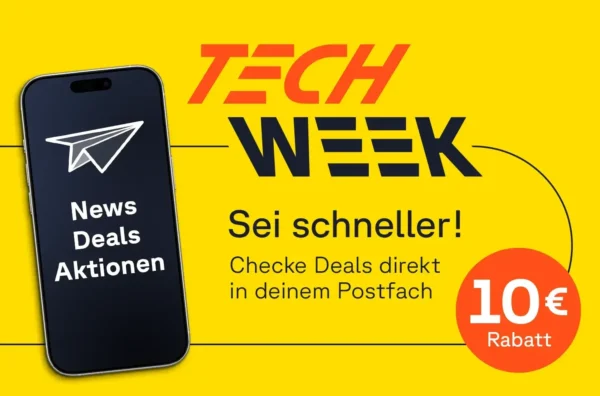 newsletter newsletter
