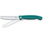 Victorinox Swiss Classic Picknickmesser Klappmesser grün