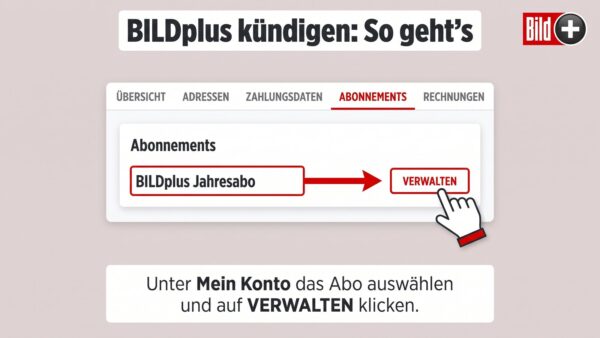bildplus abo kuendigen anleitung BILD plus Abo kündigen