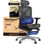 FLEXISPOT ErgoX ergonomischer Bürostuhl mit Fußstütze (M2, Grau)