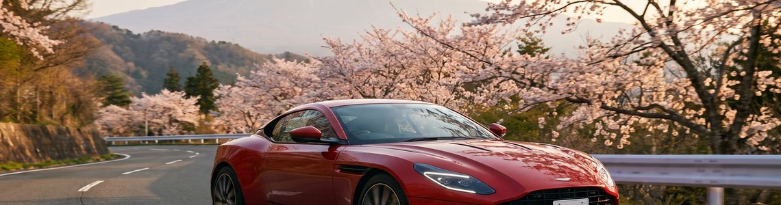 Roter Sportwagen auf einer kurvigen Bergstraße zwischen blühenden Kirschbäumen, Symbolbild zu Forza Horizon 6