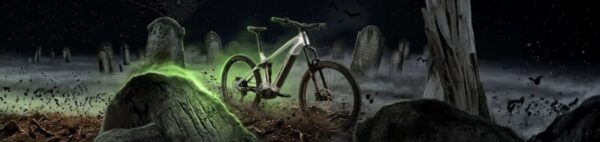 rebikebanner
