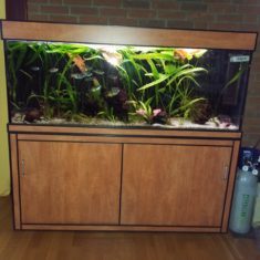 Kommentarbild von dasSams