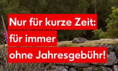 Kommentarbild von Matthi