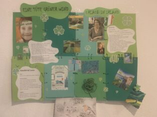 Kommentarbild von Marie