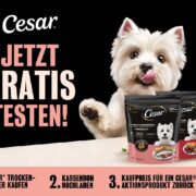 CESAR Cashback 2026 bis 6,79 € Geld zurück auf CESAR Trockenfutter