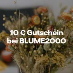 Featured image of post Blume2000 Gutschein : Die große auswahl umfasst neben klassischen damit sie bei ihrer bestellung sparen können, finden sie bei uns blume2000.de gutscheine mit.