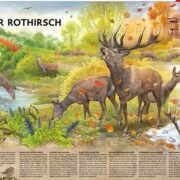 Gratis Ausmalbilder bei der Wildtierstiftung