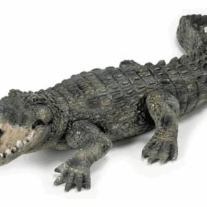 Kroko