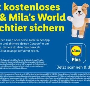 Lidl 1 2 3