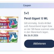Dm: 1+1 Persil Gigant 13 WL