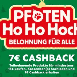 Pfoten
