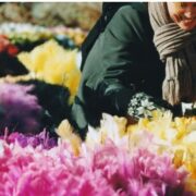 IKEA Wallau  Toller Blumenmarkt - Frühlingsmarkt am 20. u. 21.März