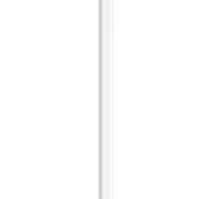 Apple Pencil (2. Generation) für 65,90€