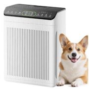 Luftreiniger Allergiker, CADR 420m³/h, 200㎡, HEPA-Air Purifier