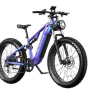 Duotts ​​E26 Elektrofahrrad / E-Bike